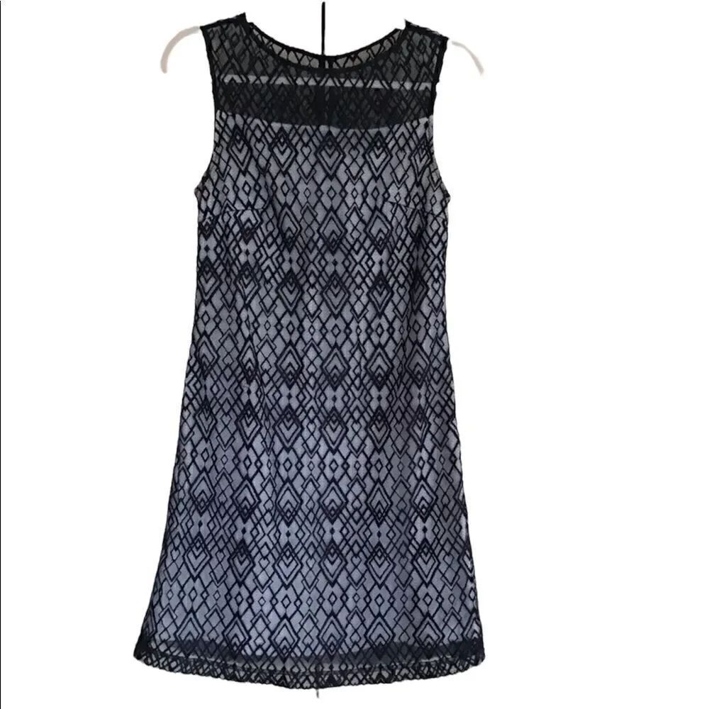 Sharango Embroidered Sleeveless Overlay Sheath Dress